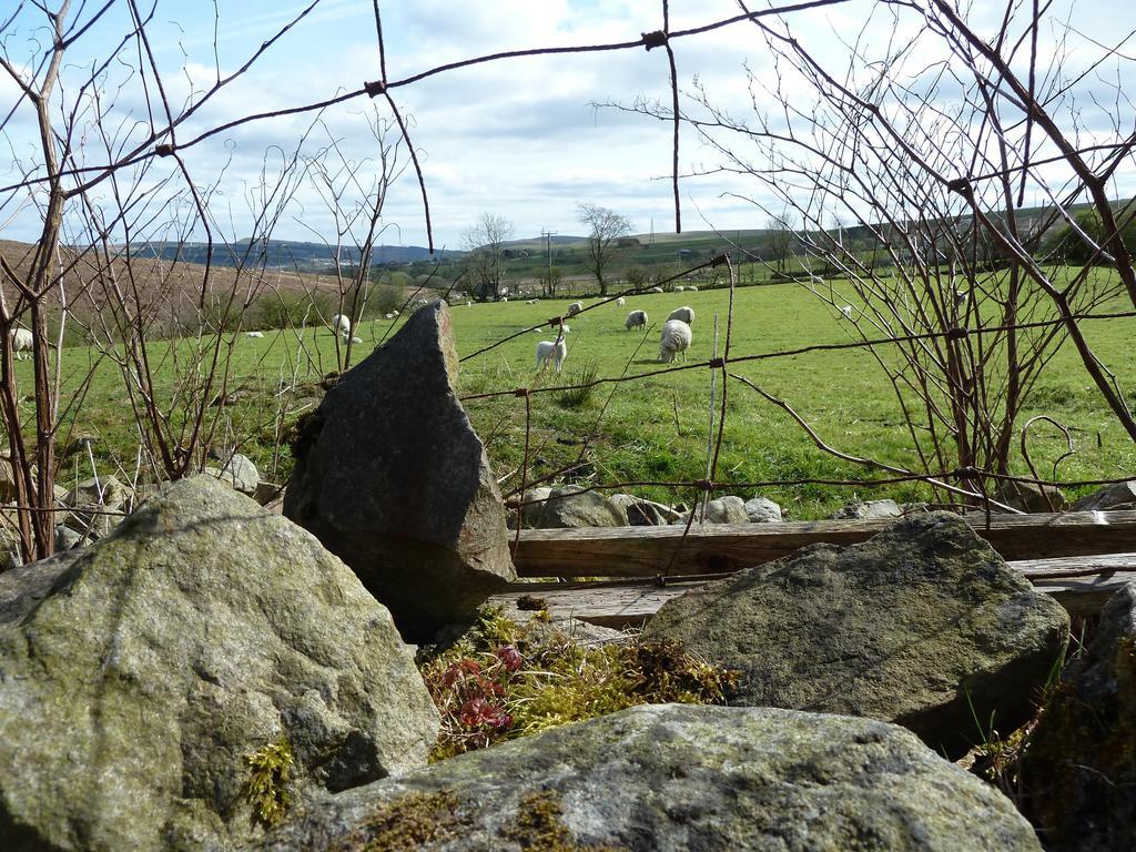 Wales' Highest Village - The Chartist Cottage - Trefil Tredegar Esterno foto